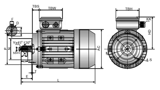 250WMotorDimentions