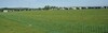 Site Panorama 2